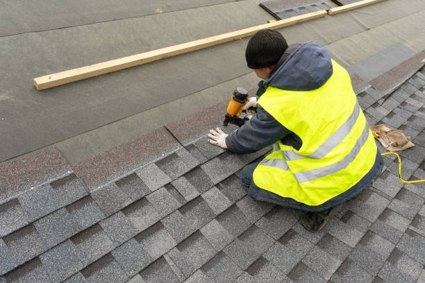 Best Roof Gutter Cleaning  in Summerfield, NC