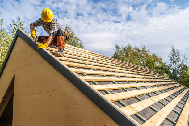 Best Roof Gutter Cleaning  in Summerfield, NC